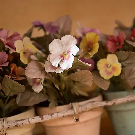 Ξενοδοχείο Centro's Λιβίνιο